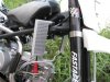 PitStar TTR 160 4V
