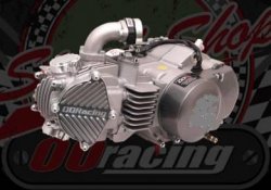 motor yx 150/160